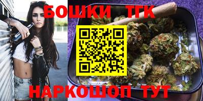 сатива Гай