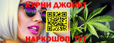 сатива Гай
