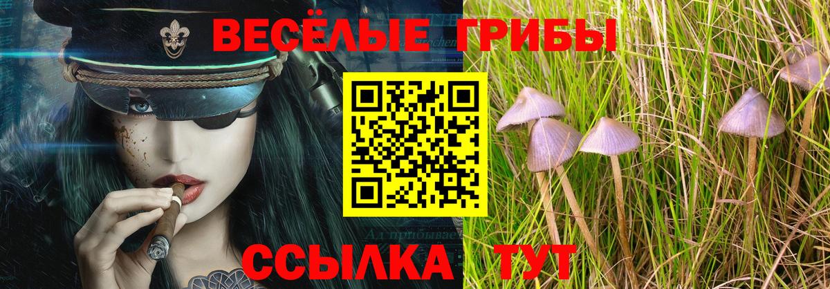Галлюциногенные грибы Psilocybine cubensis  Вход с VPN  Нижнекамск 